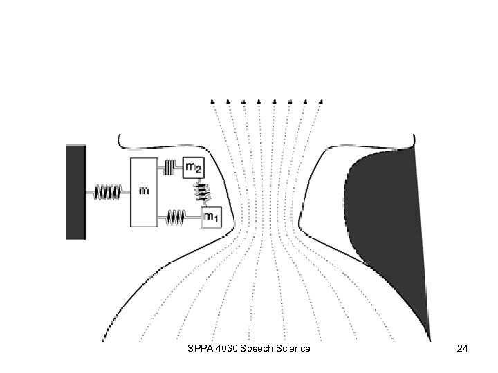 SPPA 4030 Speech Science 24 
