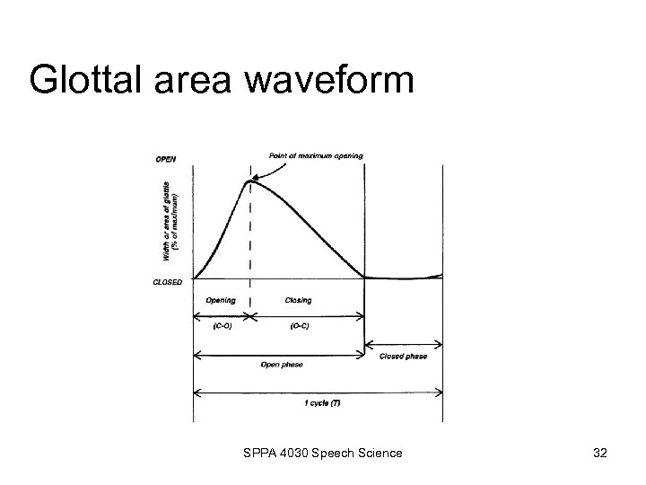 Glottal area waveform SPPA 4030 Speech Science 32 