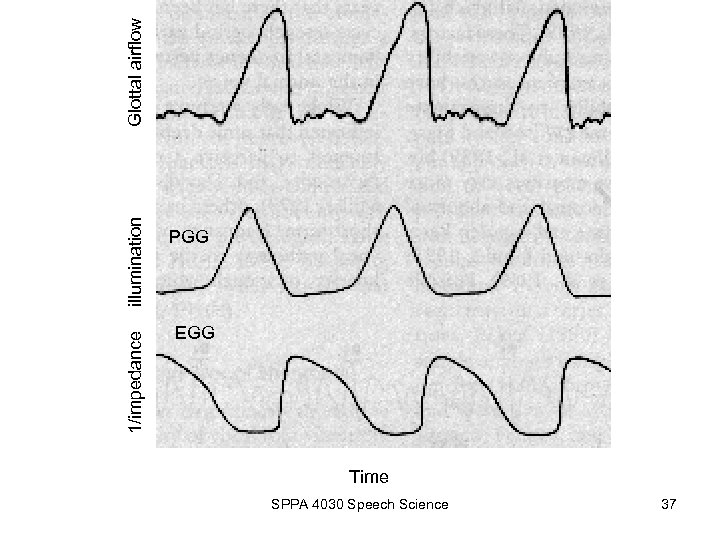 1/impedance illumination PGG EGG Time SPPA 4030 Speech Science 37 Glottal airflow 