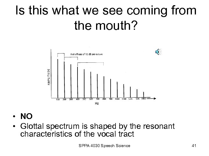 Is this what we see coming from the mouth? • NO • Glottal spectrum