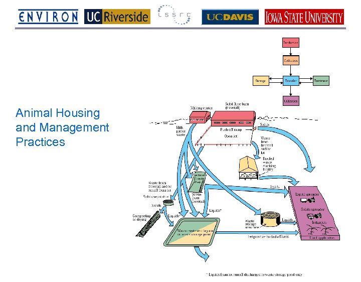 Animal Housing and Management Practices 