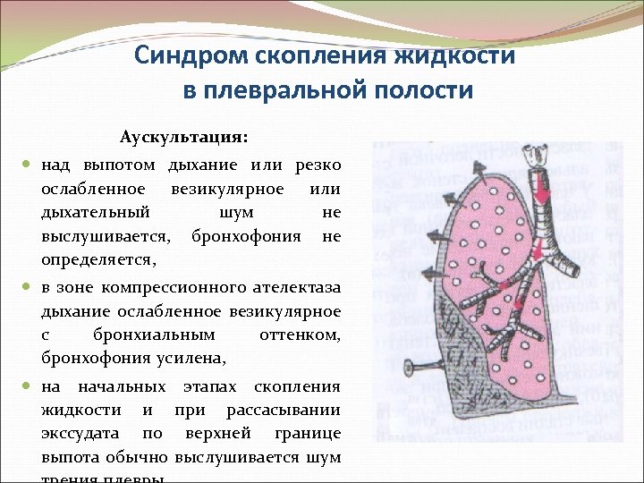 Везикулярное дыхание схема