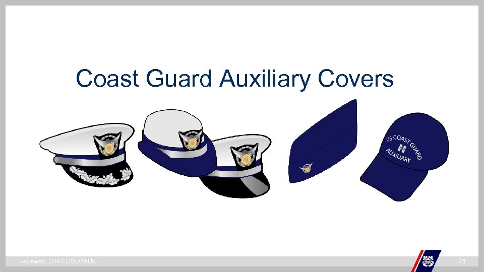 Coast Guard Auxiliary Covers ` Reviewed, DIR-T USCGAUX 45 