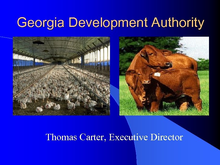 Georgia Development Authority Thomas Carter, Executive Director 