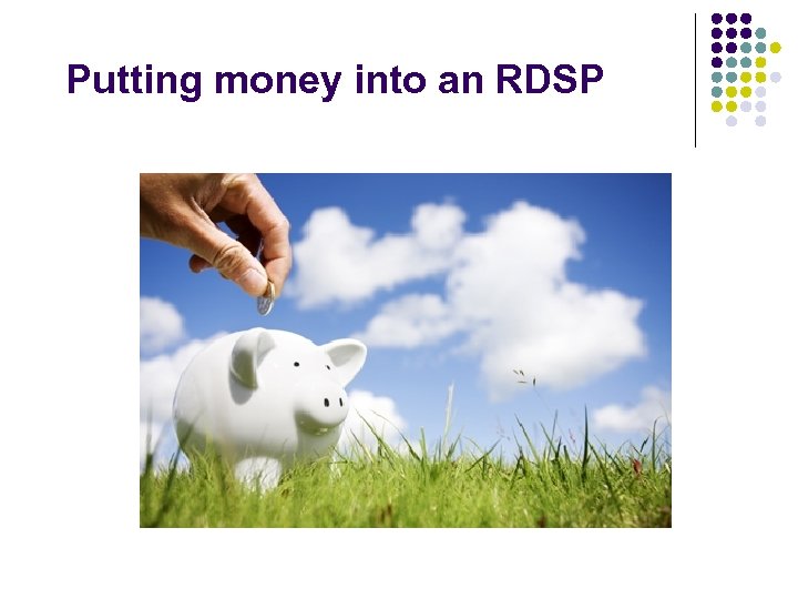 Putting money into an RDSP 