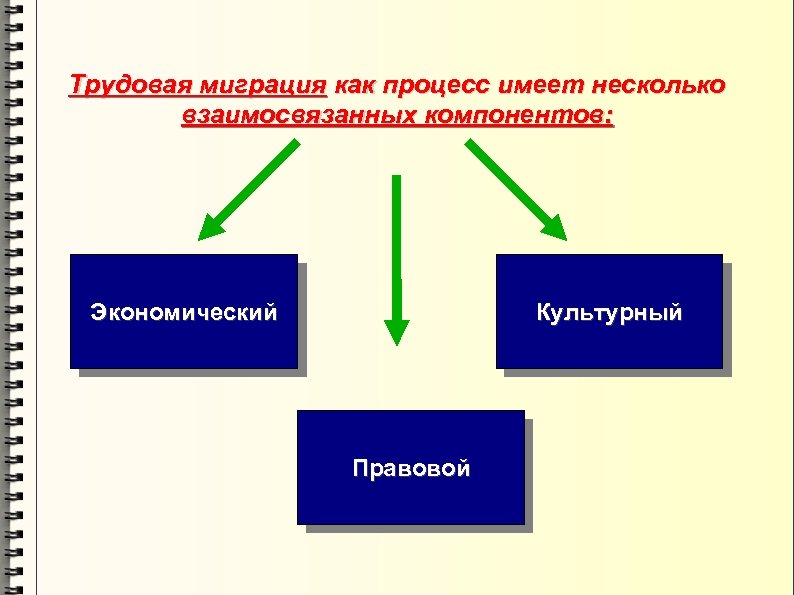 Трудовая миграция как процесс имеет несколько взаимосвязанных компонентов: Экономический Культурный Правовой 
