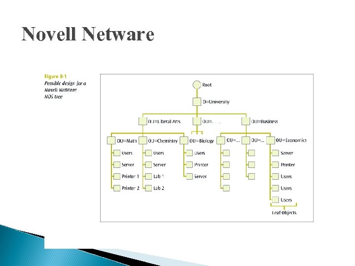 Novell Netware 
