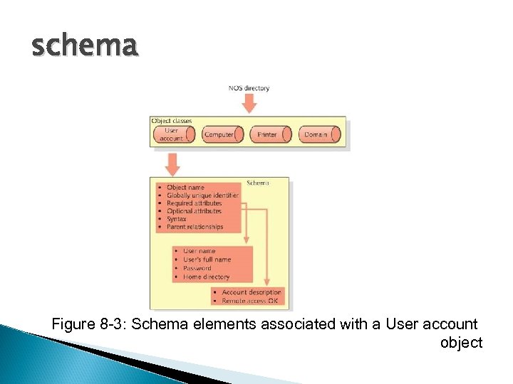 schema Figure 8 -3: Schema elements associated with a User account object 