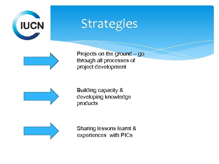 Strategies Projects on the ground – go through all processes of project development Building