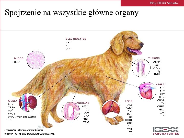 Why IDEXX Vet. Lab? Spojrzenie na wszystkie główne organy ELECTROLYTES Na + K+ Cl