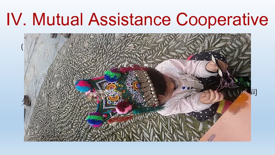 IV. Mutual Assistance Cooperative (B) Ethnic Handicraft Group: ·与阿妮刺绣有限公司合作，开发阿妮·南猛系列产品 ·定期开展培训交流 ·合作社负责提供原料，利润 30%归个人，70%归合作社 · 2016年