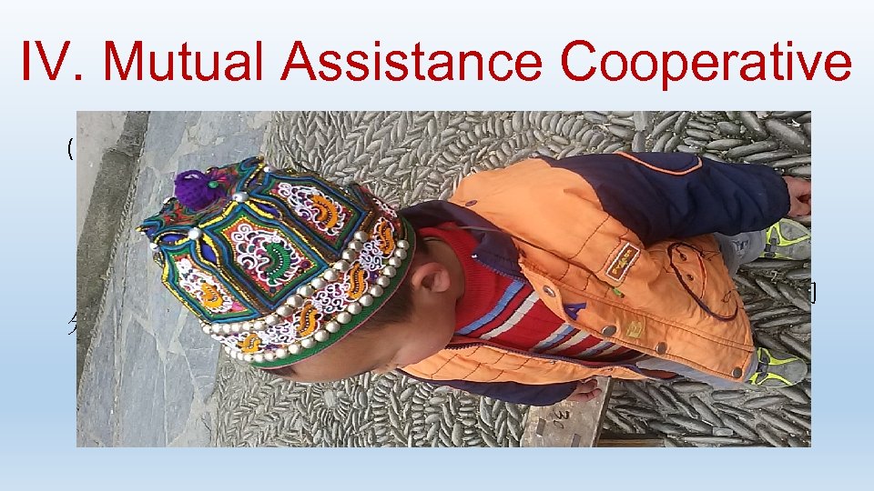 IV. Mutual Assistance Cooperative (B) Ethnic Handicraft Group: ·与阿妮刺绣有限公司合作，开发阿妮·南猛系列产品 ·定期开展培训交流 ·合作社负责提供原料，利润 30%归个人，70%归合作社 · 2016年