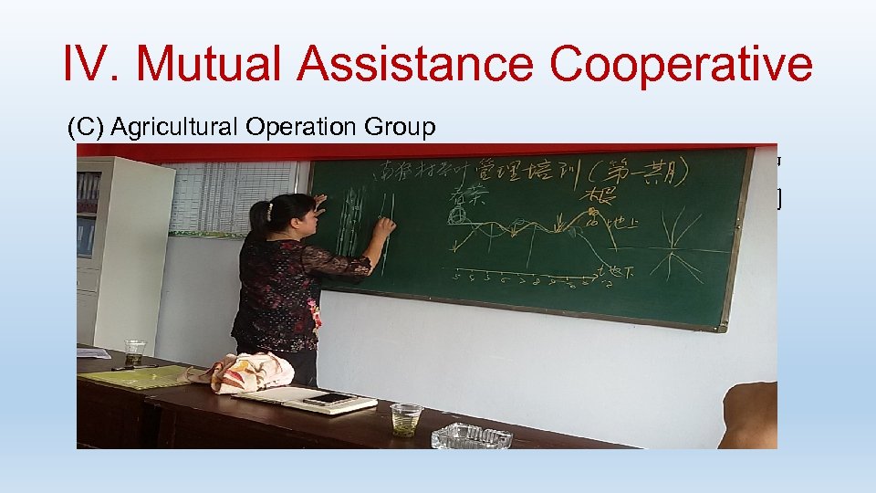 IV. Mutual Assistance Cooperative (C) Agricultural Operation Group ·管理有机肥发放，组织社员锄草施肥、加强茶园管护 ·与贵州苗家春茶叶有限公司签订 2016年茶青收购合同 ·开展土地流转，建立南猛白茶种植示范基地 ·分种统销，合作社提取一定比例销售佣金 