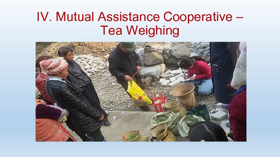 IV. Mutual Assistance Cooperative – Tea Weighing 