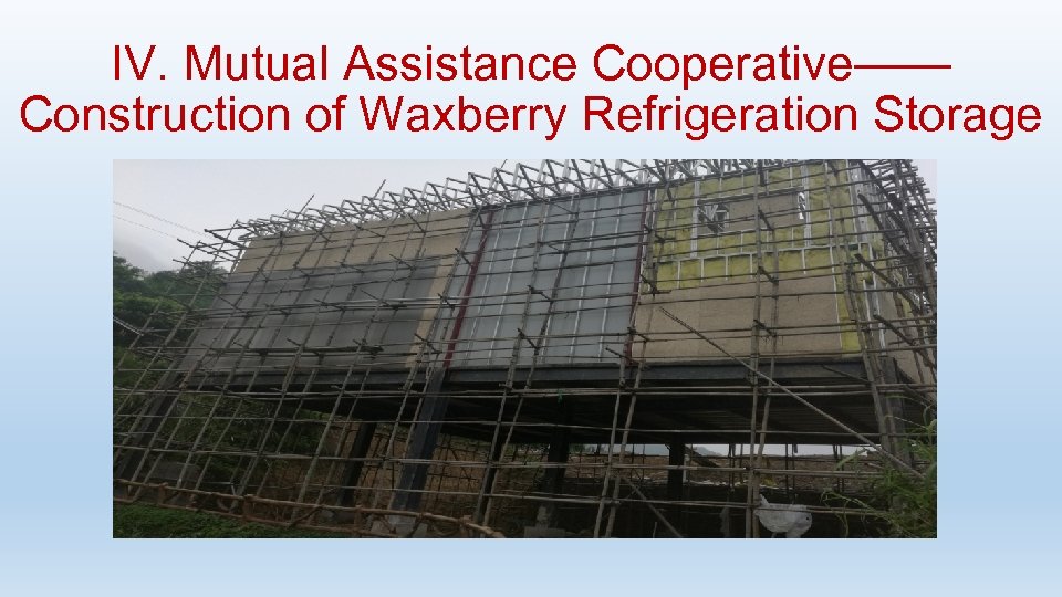 IV. Mutual Assistance Cooperative—— Construction of Waxberry Refrigeration Storage 
