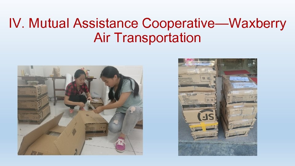 IV. Mutual Assistance Cooperative—Waxberry Air Transportation 