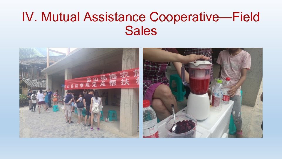 IV. Mutual Assistance Cooperative—Field Sales 
