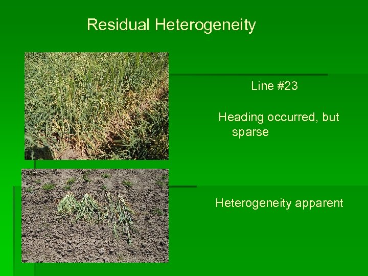 Residual Heterogeneity Line #23 Heading occurred, but sparse Heterogeneity apparent 