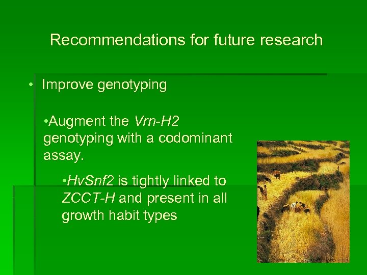 Recommendations for future research • Improve genotyping • Augment the Vrn-H 2 genotyping with