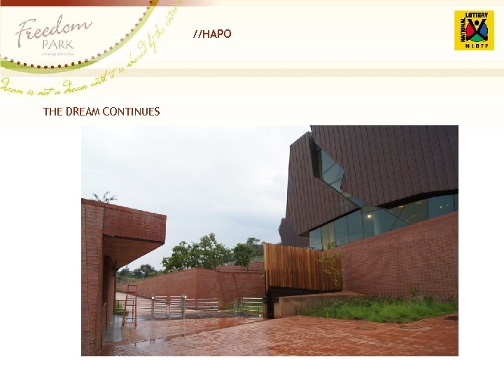 //HAPO THE DREAM CONTINUES 