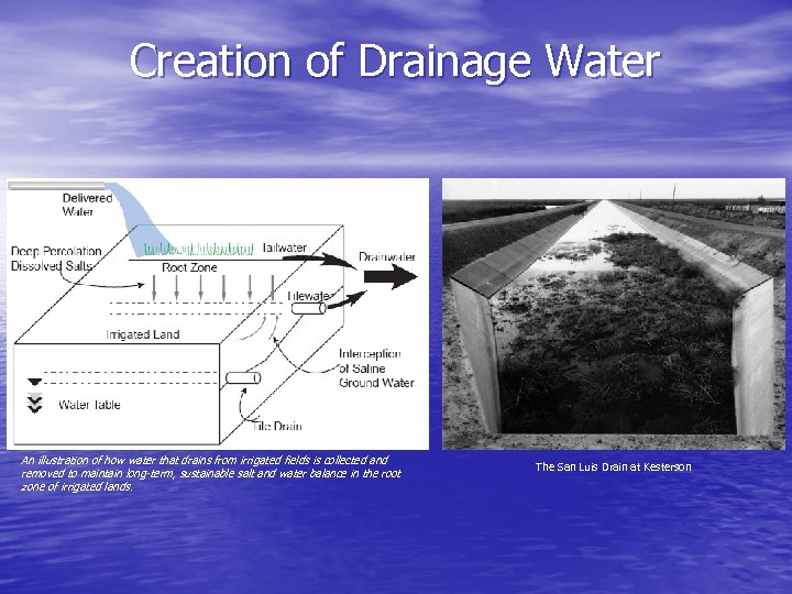 Creation of Drainage Water An illustration of how water that drains from irrigated fields