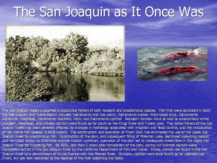 The San Joaquin as It Once Was The San Joaquin Valley supported a productive