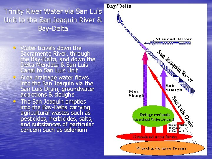 Trinity River Water via San Luis Unit to the San Joaquin River & Bay-Delta