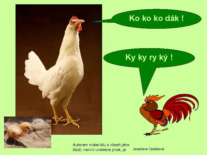 Ko ko ko dák ! Ky ky ry ký ! Autorem materiálu a všech