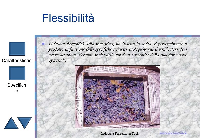 Flessibilità n Caratteristiche L’elevata flessibilità della macchina, ha indotto la scelta di personalizzare il