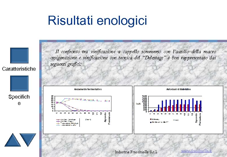 Risultati enologici Caratteristiche Il confronto tra vinificazione a cappello sommerso con l’ausilio della macro