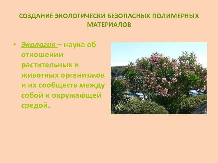 СОЗДАНИЕ ЭКОЛОГИЧЕСКИ БЕЗОПАСНЫХ ПОЛИМЕРНЫХ МАТЕРИАЛОВ • Экология – наука об отношении растительных и животных
