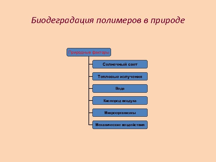 Биодеградация полимеров в природе Природные факторы Солнечный свет Тепловые излучения Вода Кислород воздуха Микроорганизмы