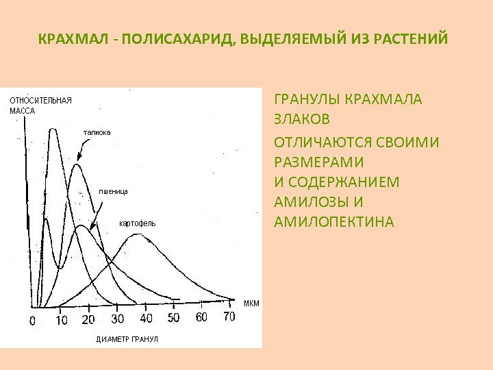 КРАХМАЛ - ПОЛИСАХАРИД, ВЫДЕЛЯЕМЫЙ ИЗ РАСТЕНИЙ • ГРАНУЛЫ КРАХМАЛА ЗЛАКОВ ОТЛИЧАЮТСЯ СВОИМИ РАЗМЕРАМИ И