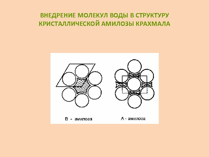 ВНЕДРЕНИЕ МОЛЕКУЛ ВОДЫ В СТРУКТУРУ КРИСТАЛЛИЧЕСКОЙ АМИЛОЗЫ КРАХМАЛА 