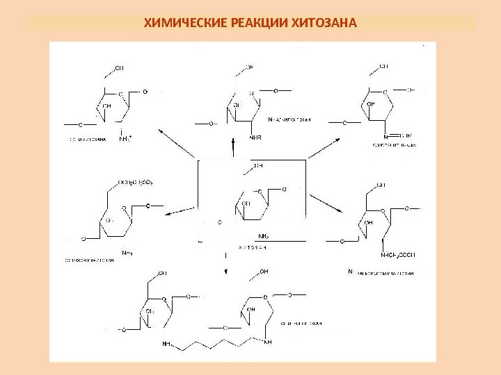 ХИМИЧЕСКИЕ РЕАКЦИИ ХИТОЗАНА 
