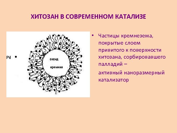 ХИТОЗАН В СОВРЕМЕННОМ КАТАЛИЗЕ • Частицы кремнезема, покрытые слоем привитого к поверхности хитозана, сорбировавшего