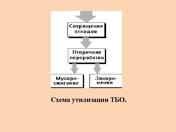 Схема утилизации ТБО. 