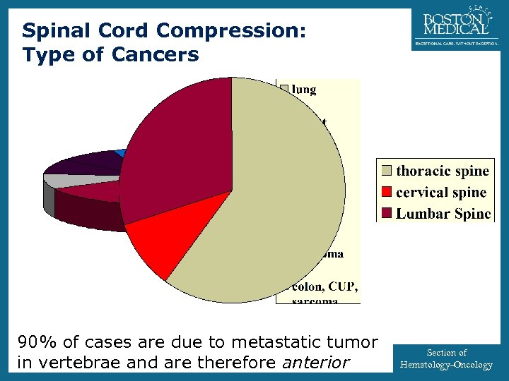 Spinal Cord Compression: Type of Cancers 90% of cases are due to metastatic tumor