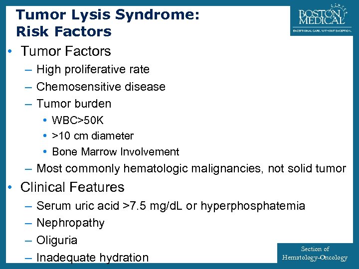Tumor Lysis Syndrome: Risk Factors • Tumor Factors 23 – High proliferative rate –
