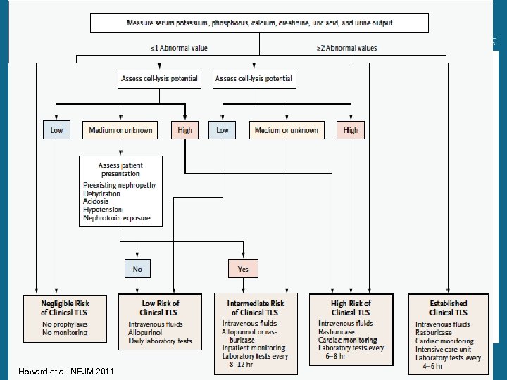 Who is at risk Howard et al. NEJM 2011 24 Section of Hematology-Oncology 