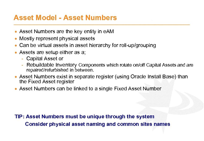 Asset Model - Asset Numbers · · Asset Numbers are the key entity in
