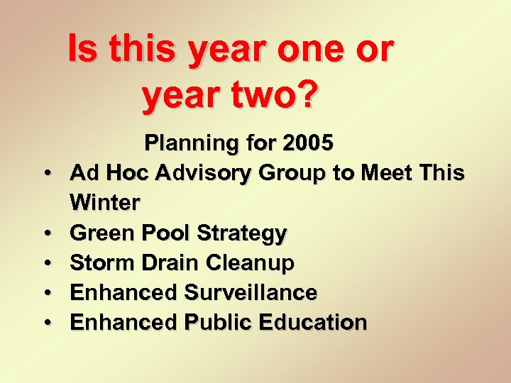 Is this year one or year two? • • • Planning for 2005 Ad