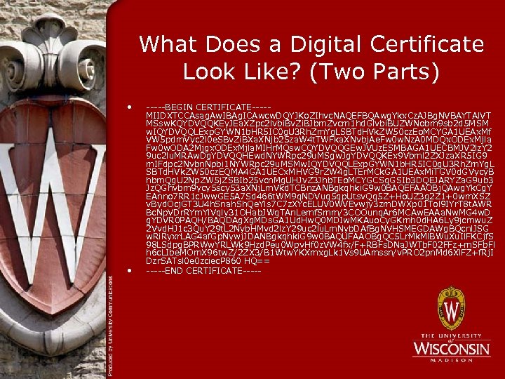 What Does a Digital Certificate Look Like? (Two Parts) • • -----BEGIN CERTIFICATE----MIIDXTCCAsag. Aw.