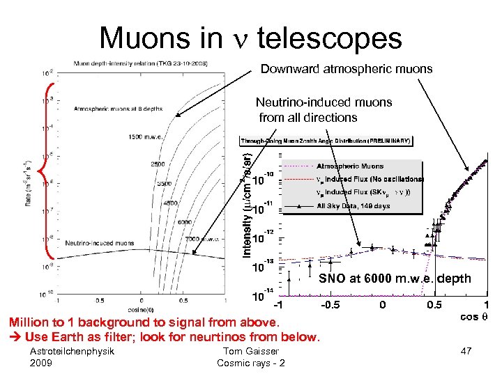 Muons in n telescopes Downward atmospheric muons Neutrino-induced muons from all directions SNO at
