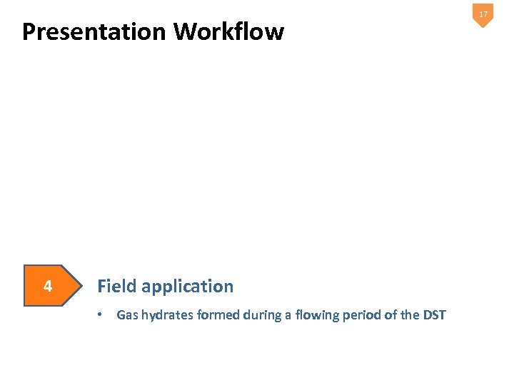 Presentation Workflow 4 Field application • Gas hydrates formed during a flowing period of