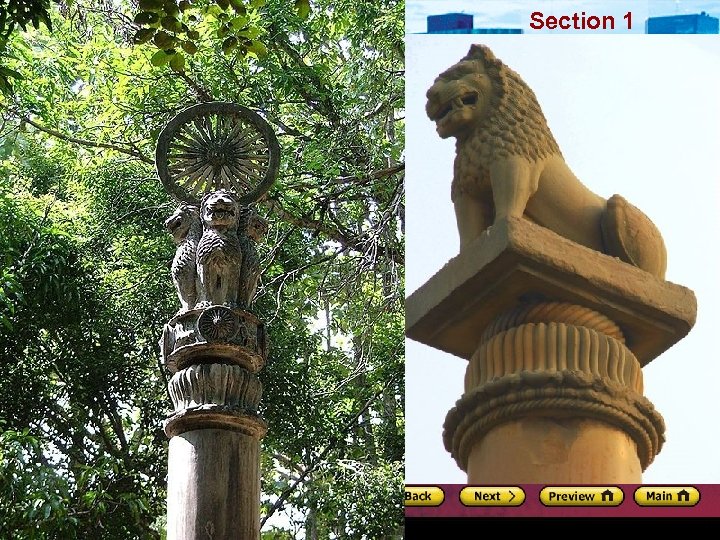 Empires of China and India Section 1 