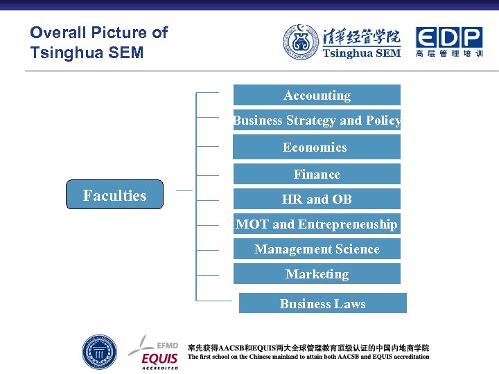 Overall Picture of Tsinghua SEM Accounting Business Strategy and Policy Economics Finance Faculties HR