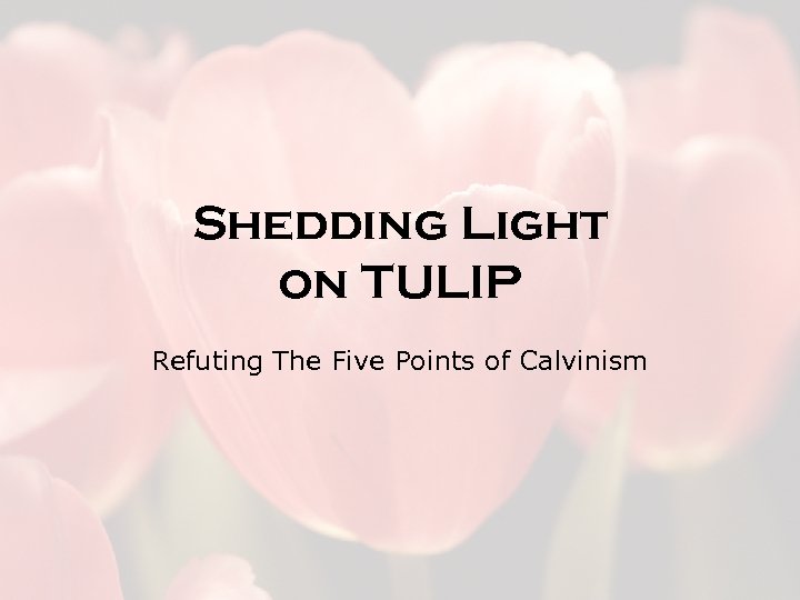 Shedding Light on TULIP Refuting The Five Points of Calvinism 