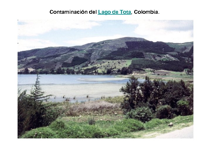 Contaminación del Lago de Tota, Colombia. 