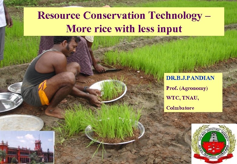 Resource Conservation Technology – More rice with less input DR. B. J. PANDIAN Prof.